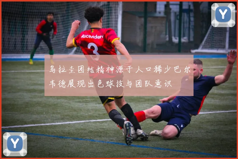 乌拉圭团结精神源于人口稀少巴尔韦德展现出色球技与团队意识